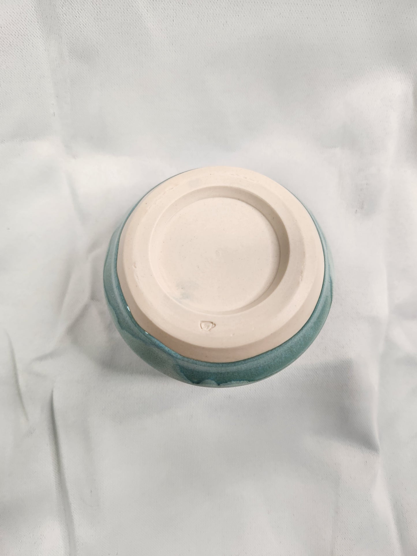 Seamoss Cup